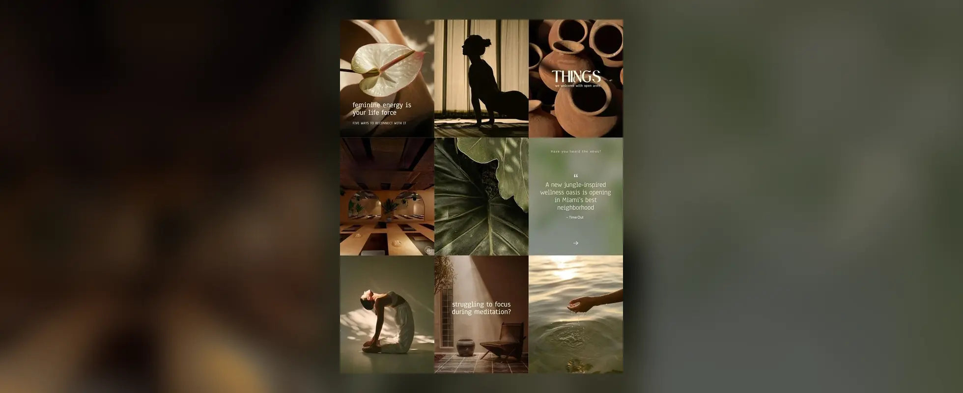 Divine Wellness campaign creative